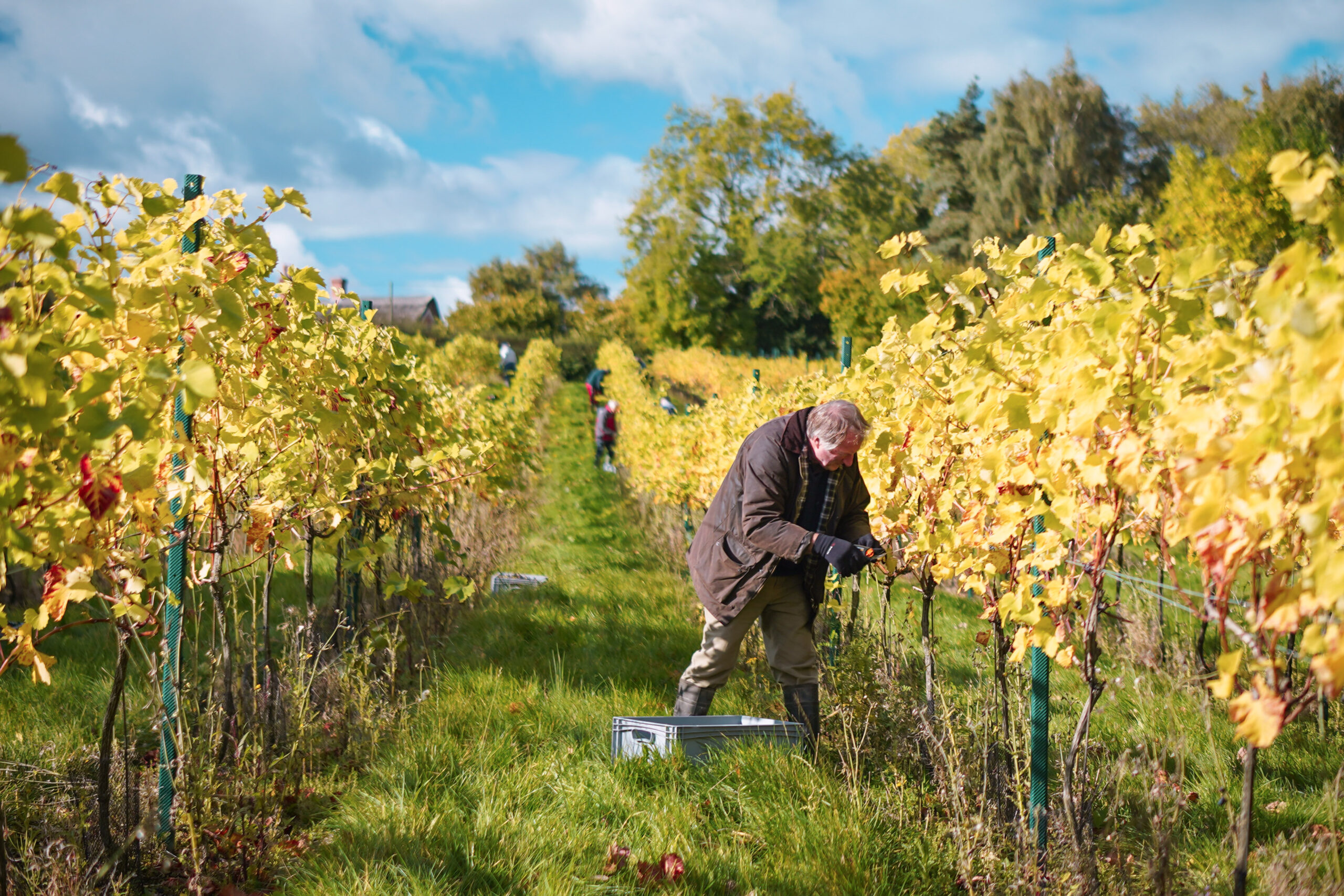 English Sparkling Wine vs. Champagne: What’s the difference?